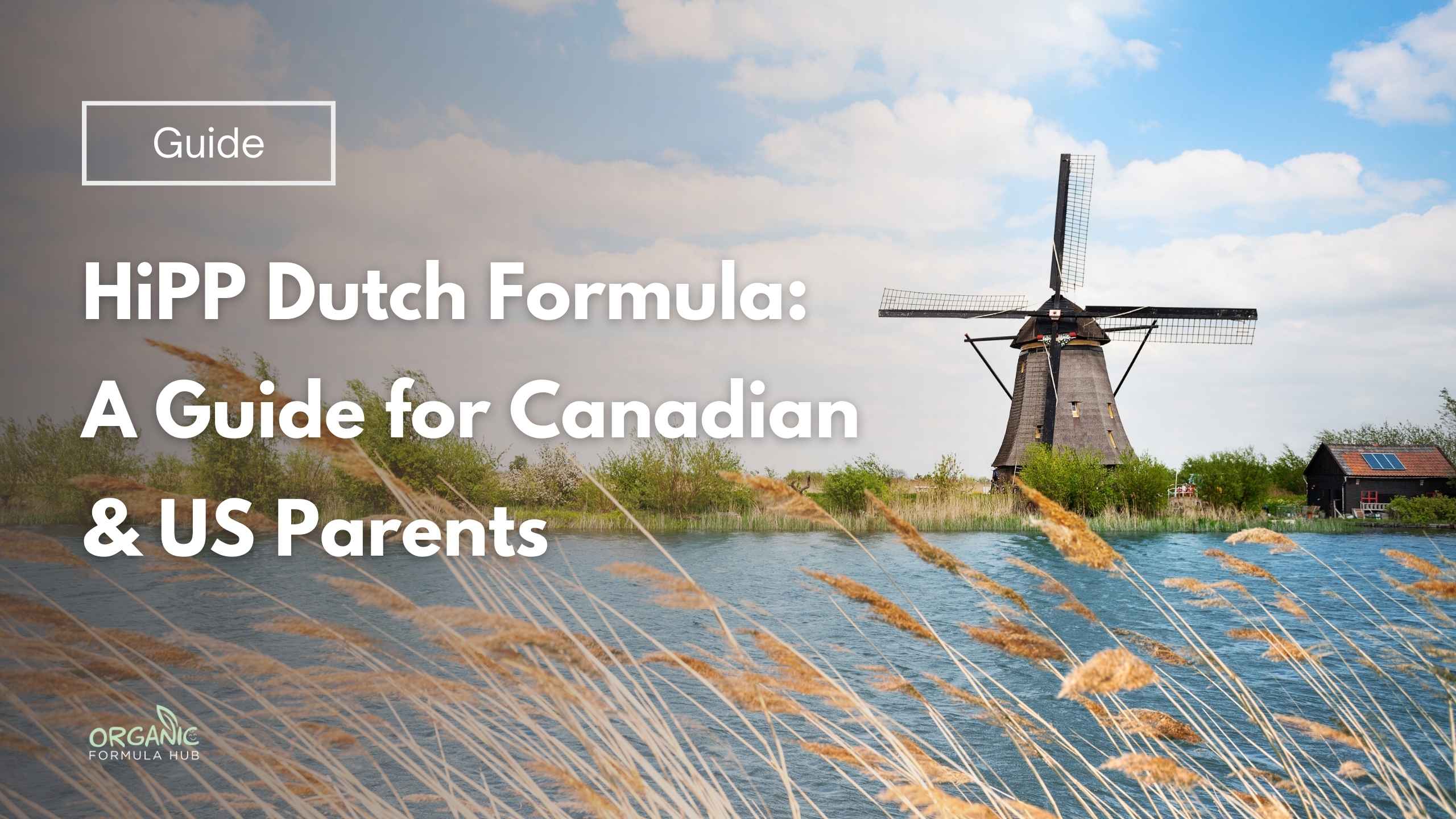 HiPP Dutch Formula: A Complete Guide for Canadian & US Parents