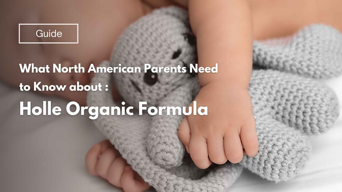 Holle Organic Formula: What North American Parents Need to Know