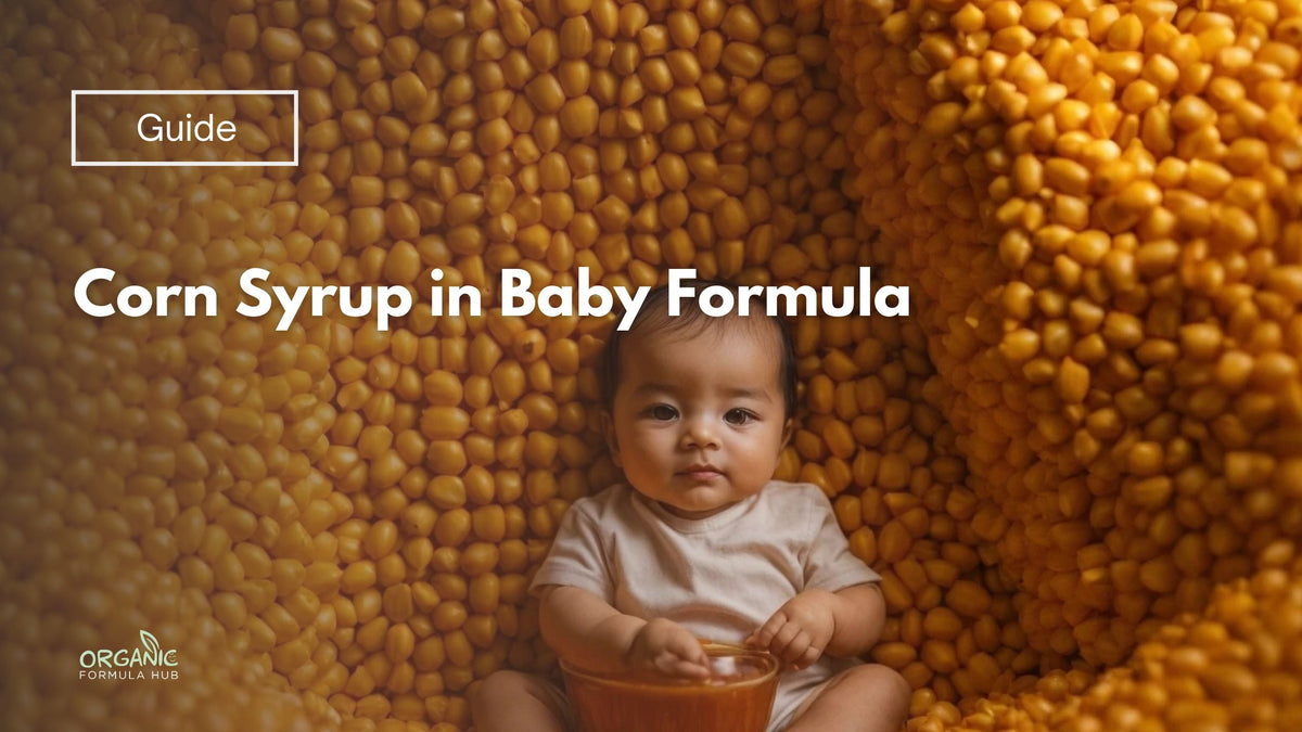 Corn Syrup in Baby Formula | Organic Formula Hub