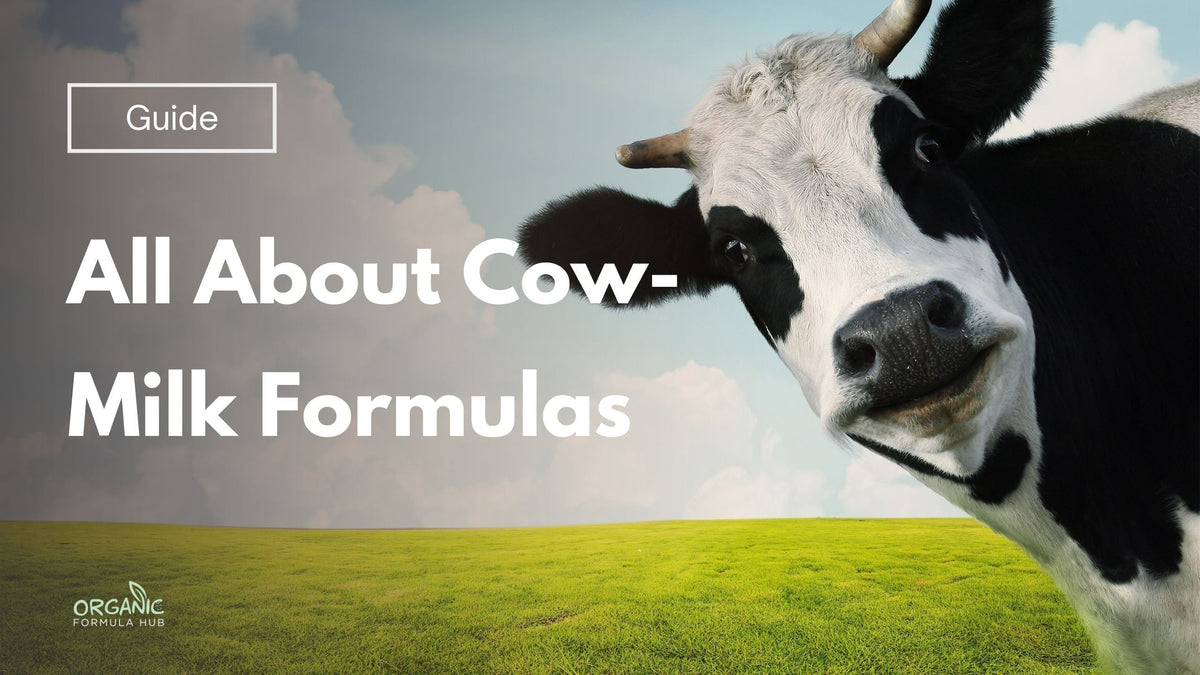 All About Cow-Milk Formulas: HiPP, Holle & More