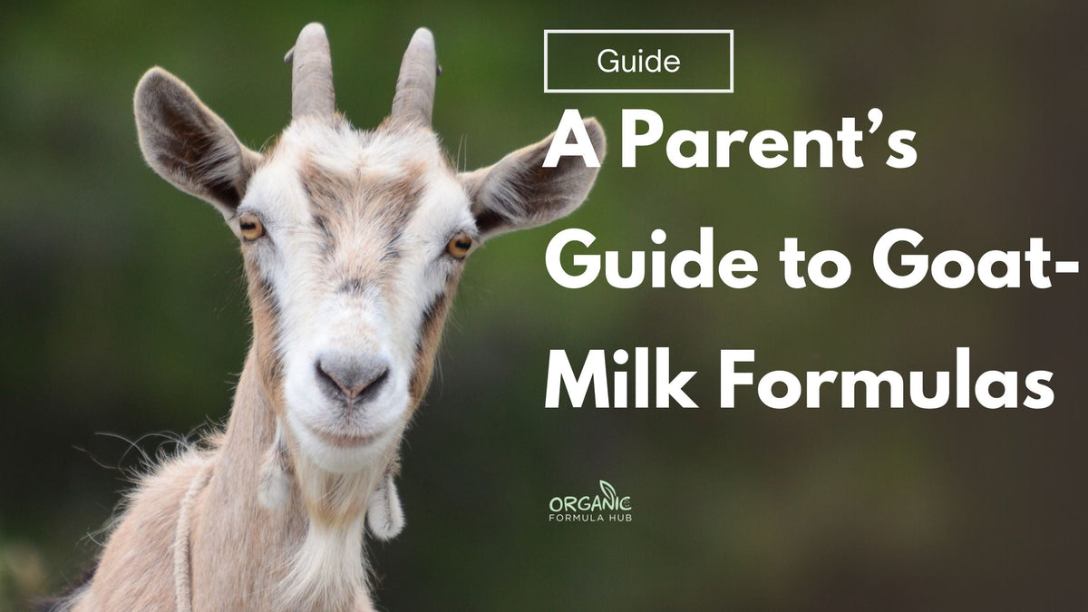 A Parent’s Guide to Goat-Milk Formulas